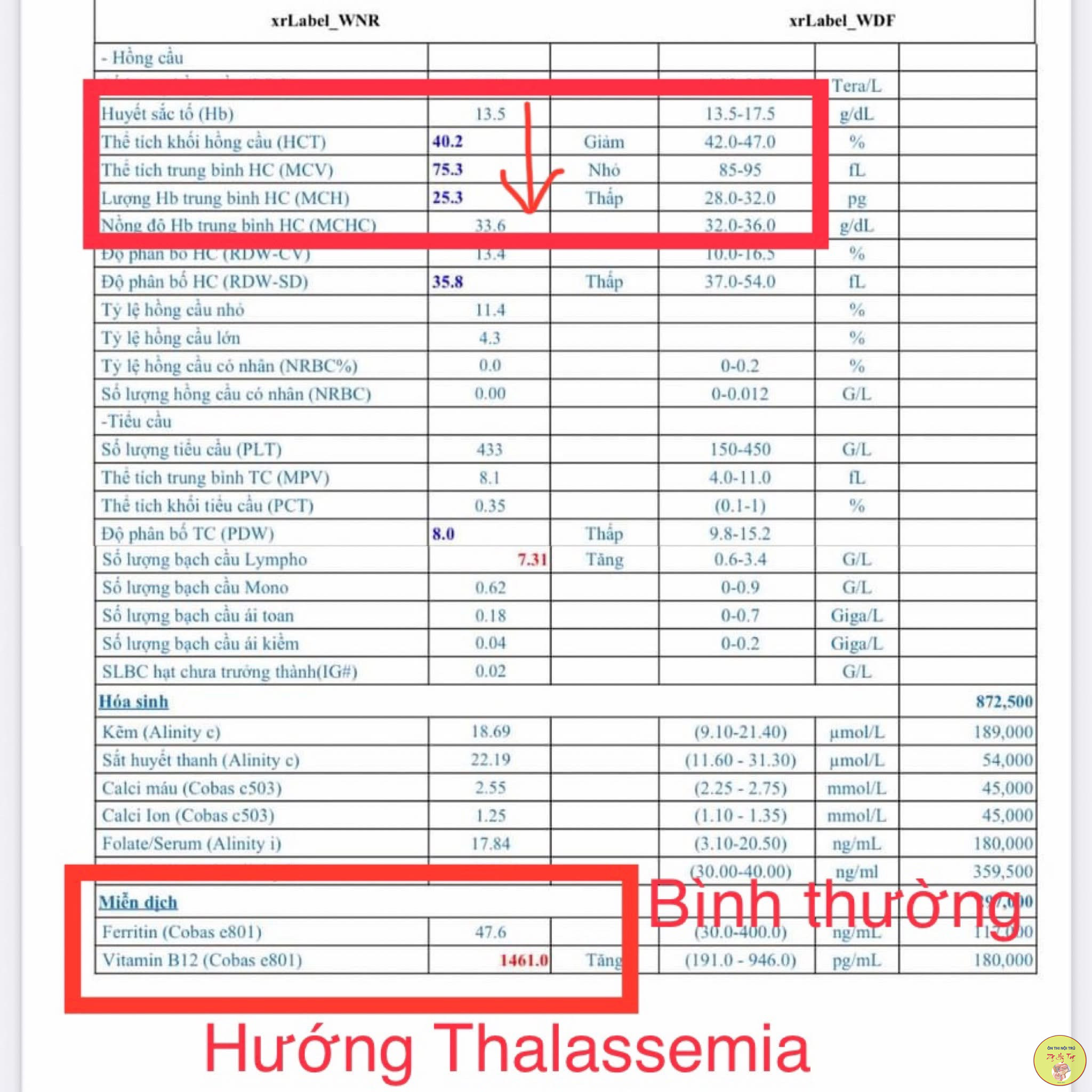 THIẾU MÁU HỒNG CẦU NHỎ