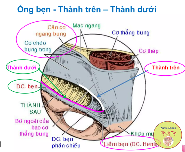 GIẢI