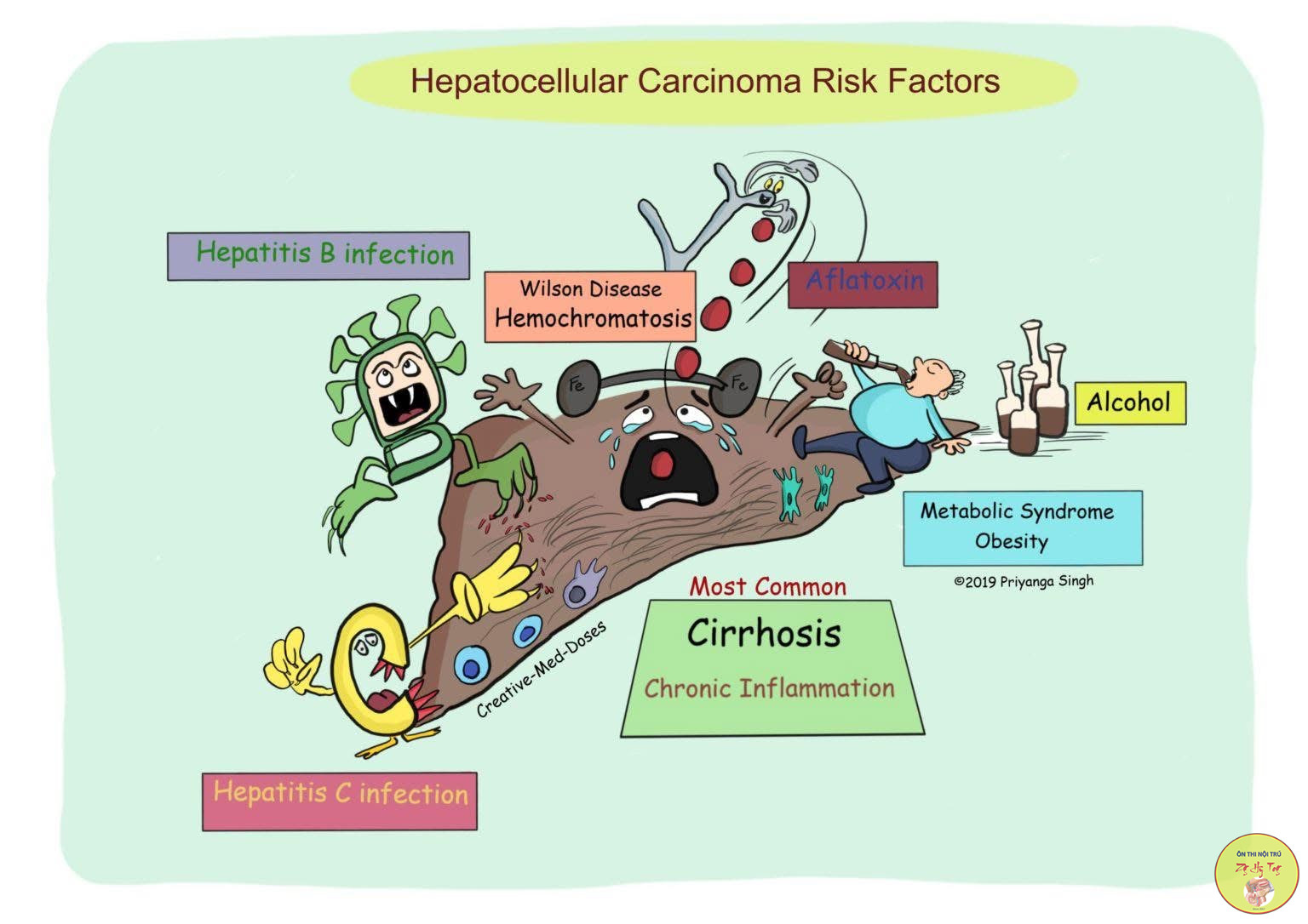 UNG THƯ GAN TRÊN NỀN VIÊM GAN B