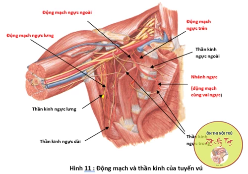 GIẢI