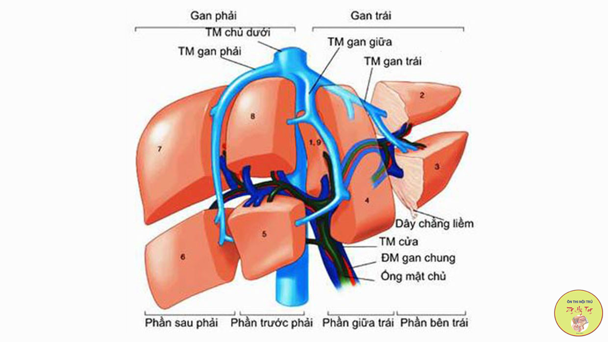 GIẢI