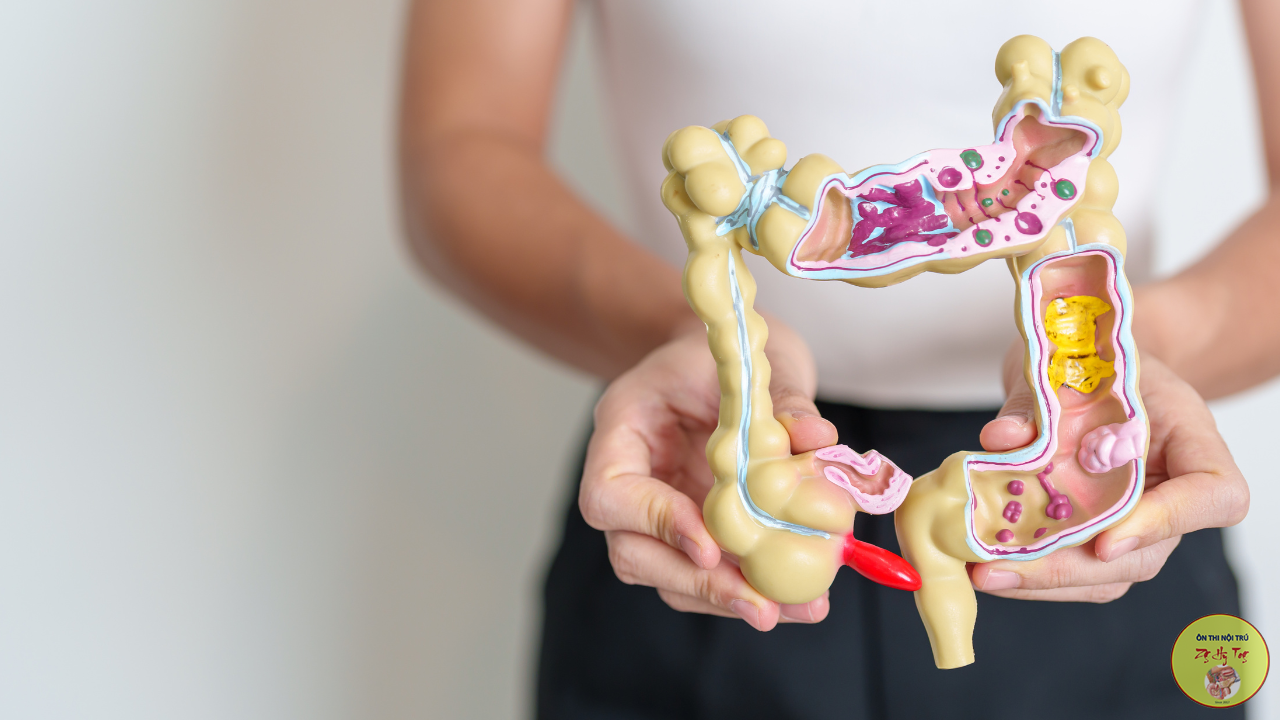 164 CÂU GIẢI PHẪU TRẮC NGHIỆM CÓ ĐÁP ÁN