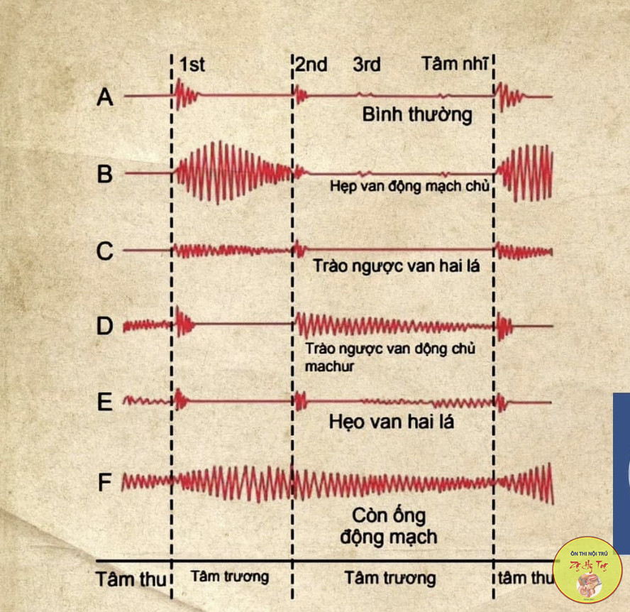HỌC