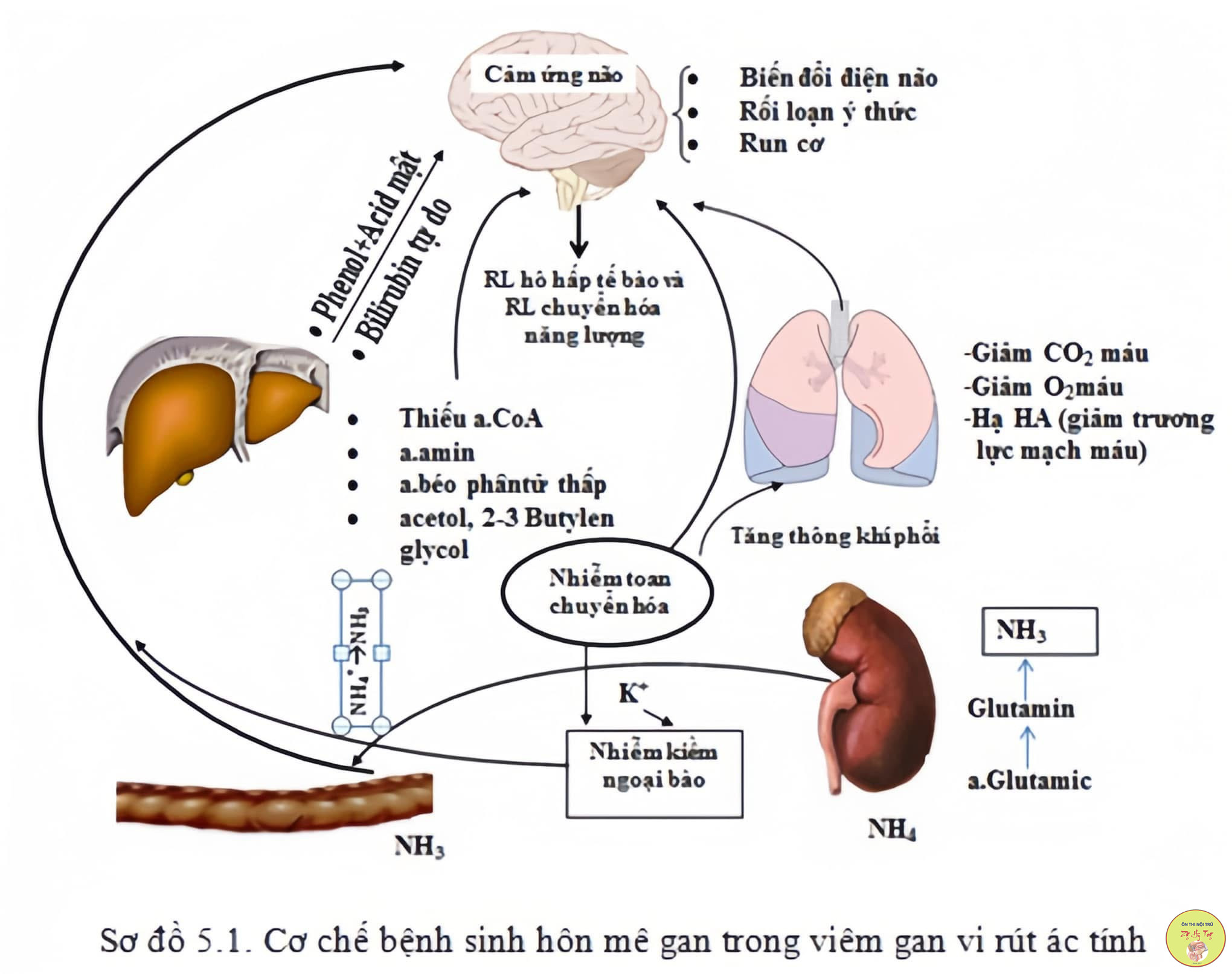 SỬ